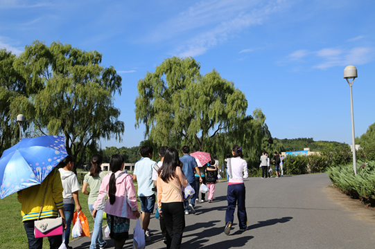 2023年奥门原料免费资料